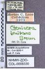 Etiketten zu Ctenicera imitans (Brown, 1935) (NHMW-ZOO-COL-0008330)